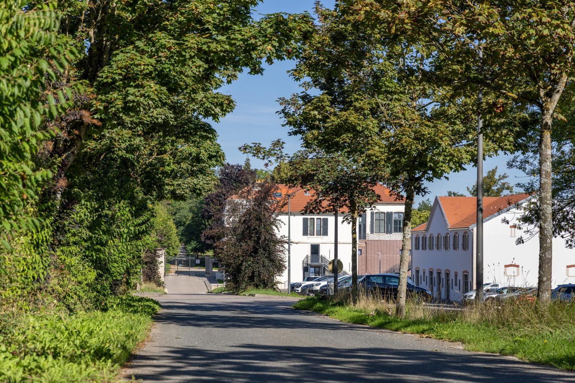 Hotel Du Chateau Villers-les-Nancy Экстерьер фото